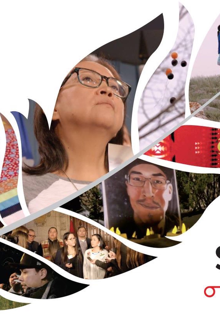nîpawistamâsowin : We Will Stand Up poster