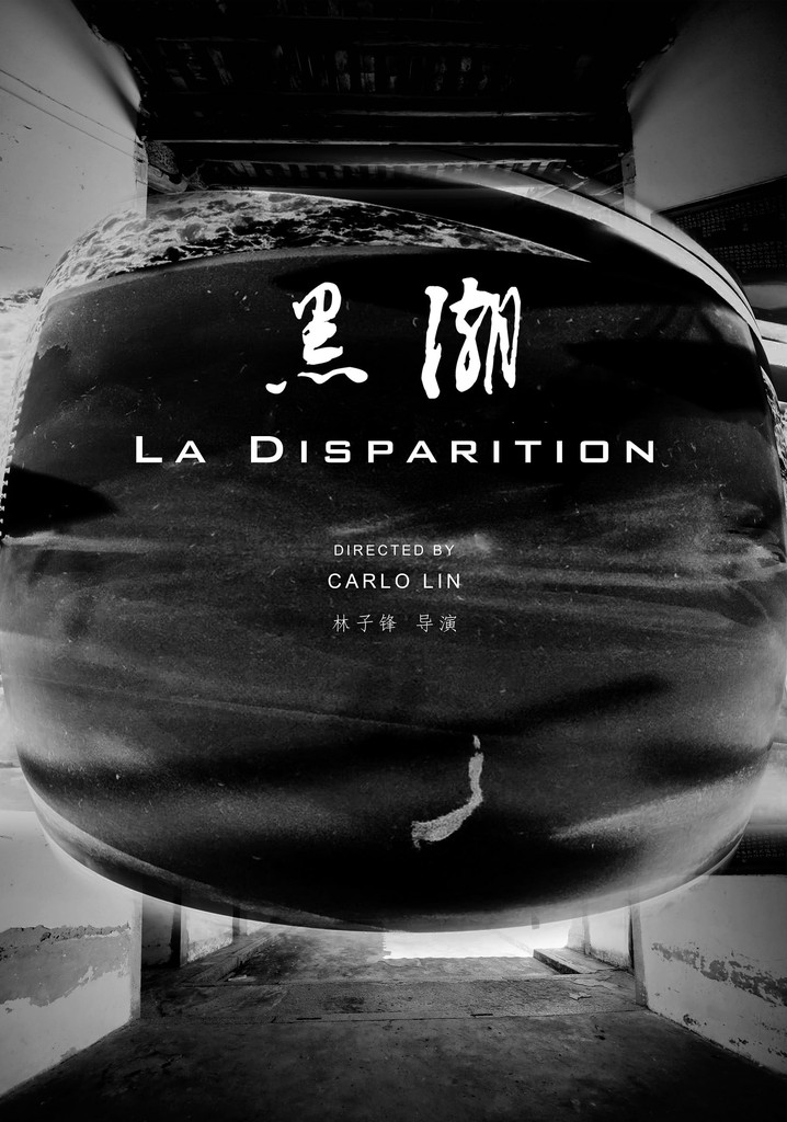 Disappearance poster