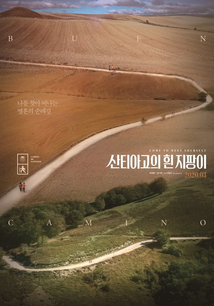 Buen Camino poster