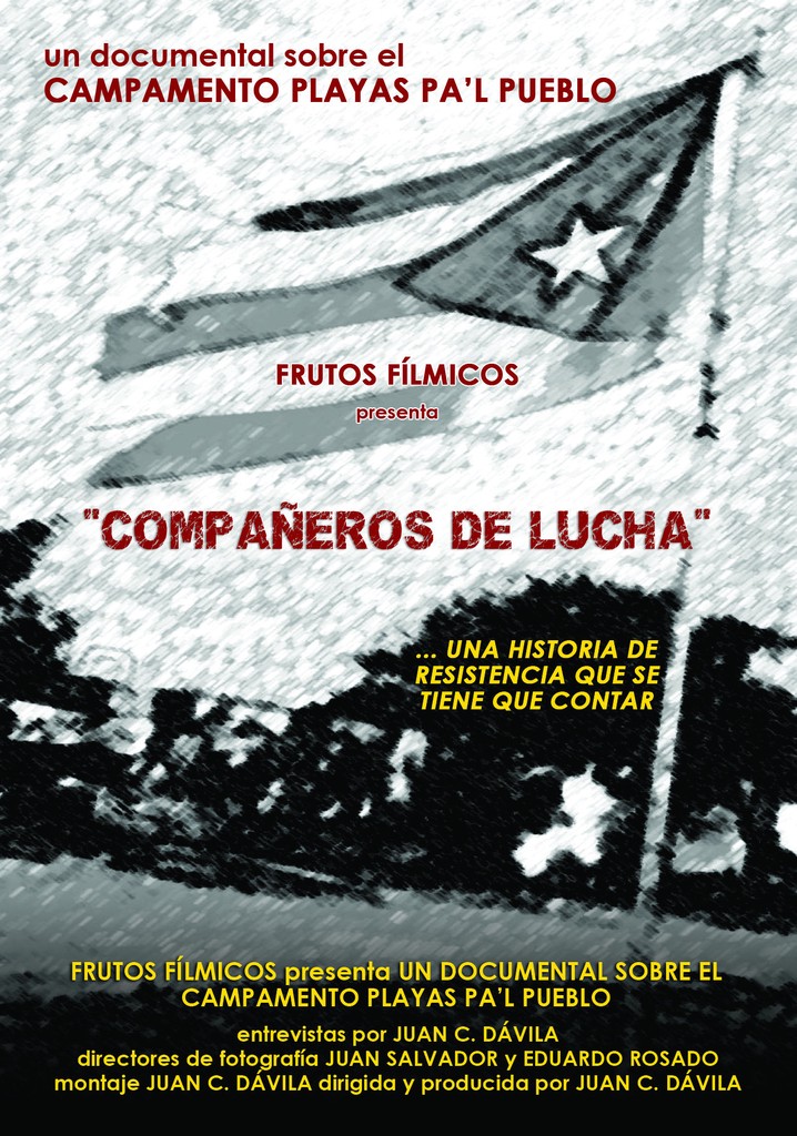 Compañeros de lucha poster
