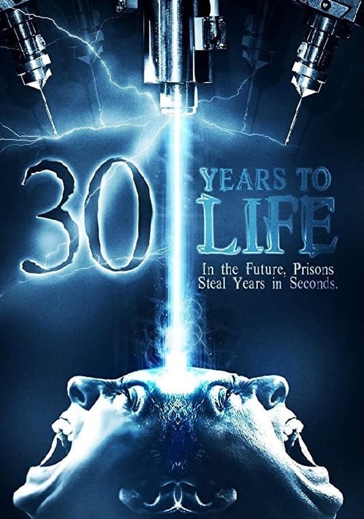 30 Years to Life poster