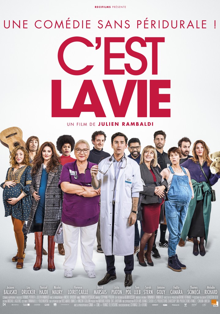 C'est la vie poster
