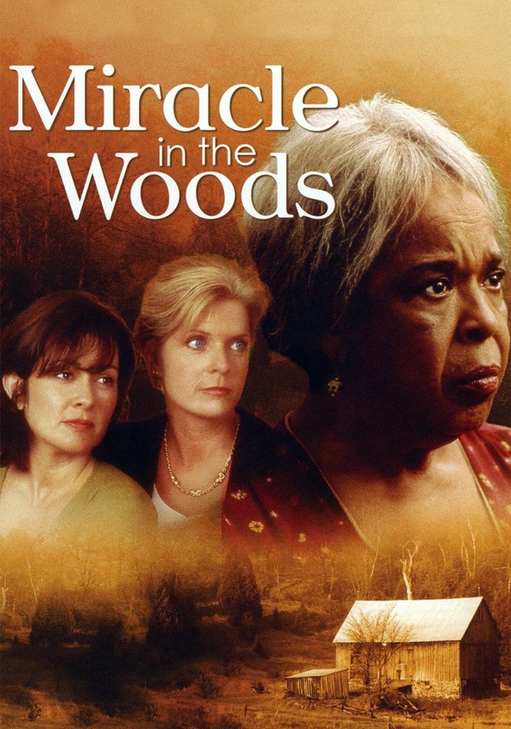 Miracle in the Woods poster