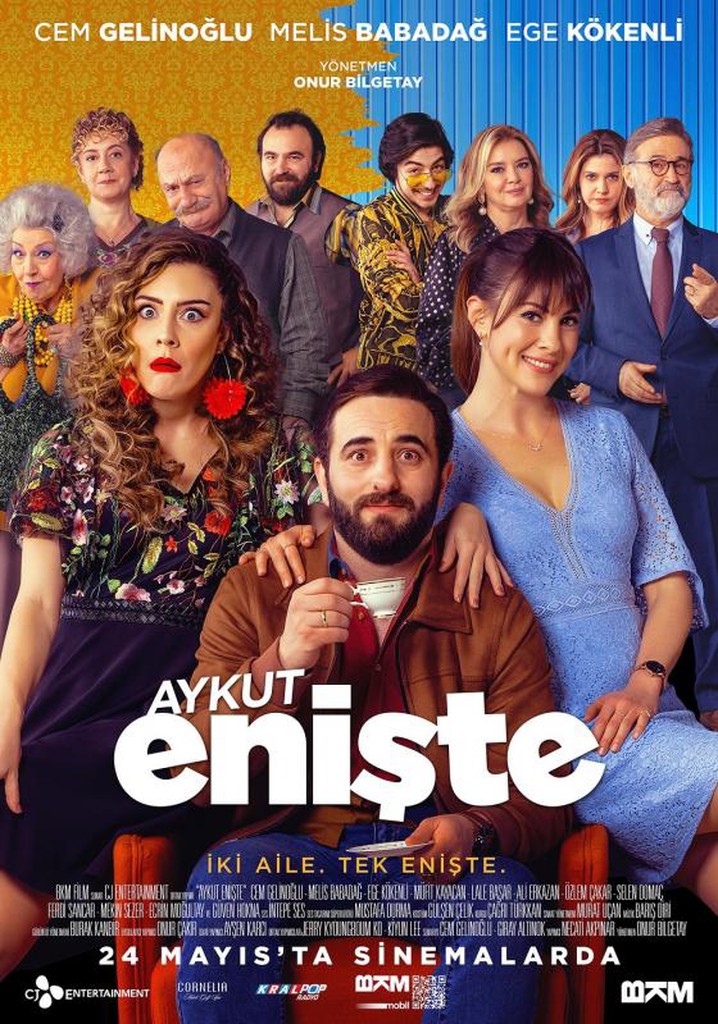 Brother in Love poster
