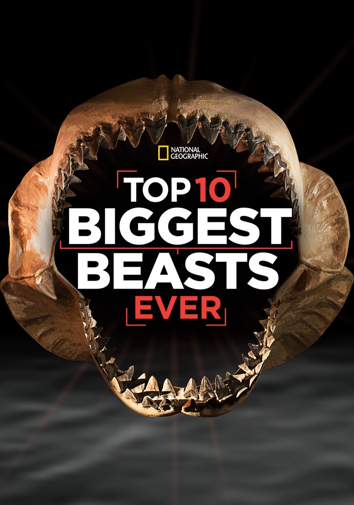 Top 10 Biggest Beasts Ever poster