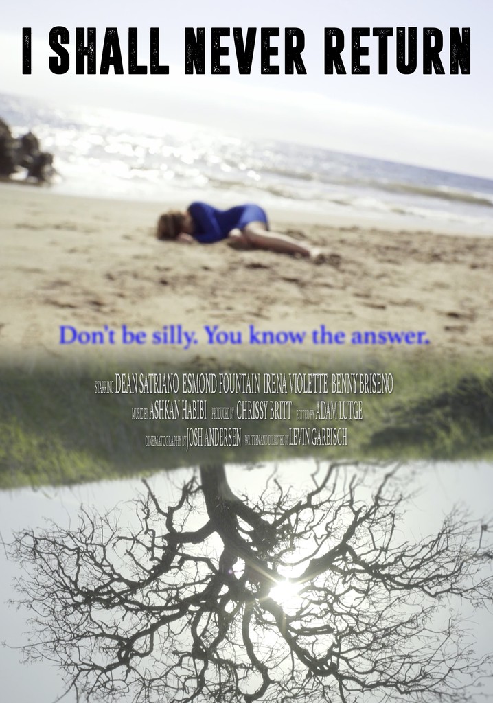 I Shall Never Return poster
