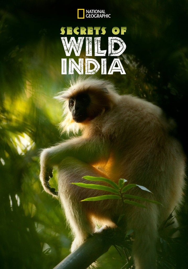 Secrets of Wild India poster