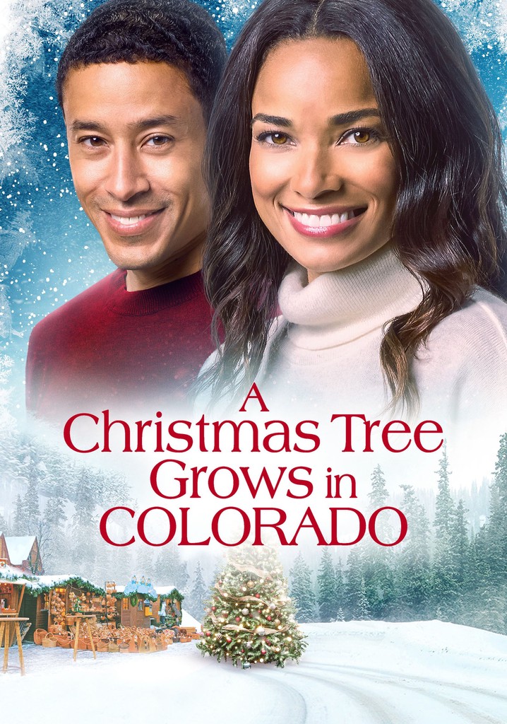A Christmas Tree Grows in Colorado poster