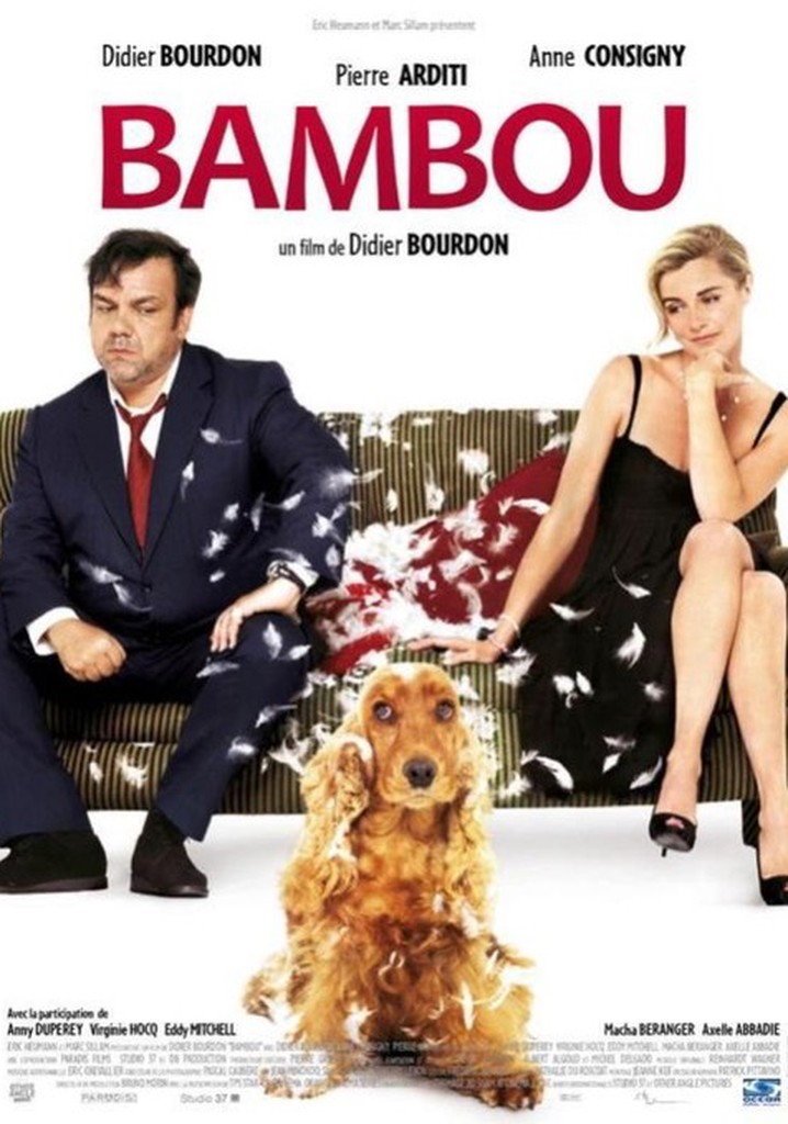 Bambou poster