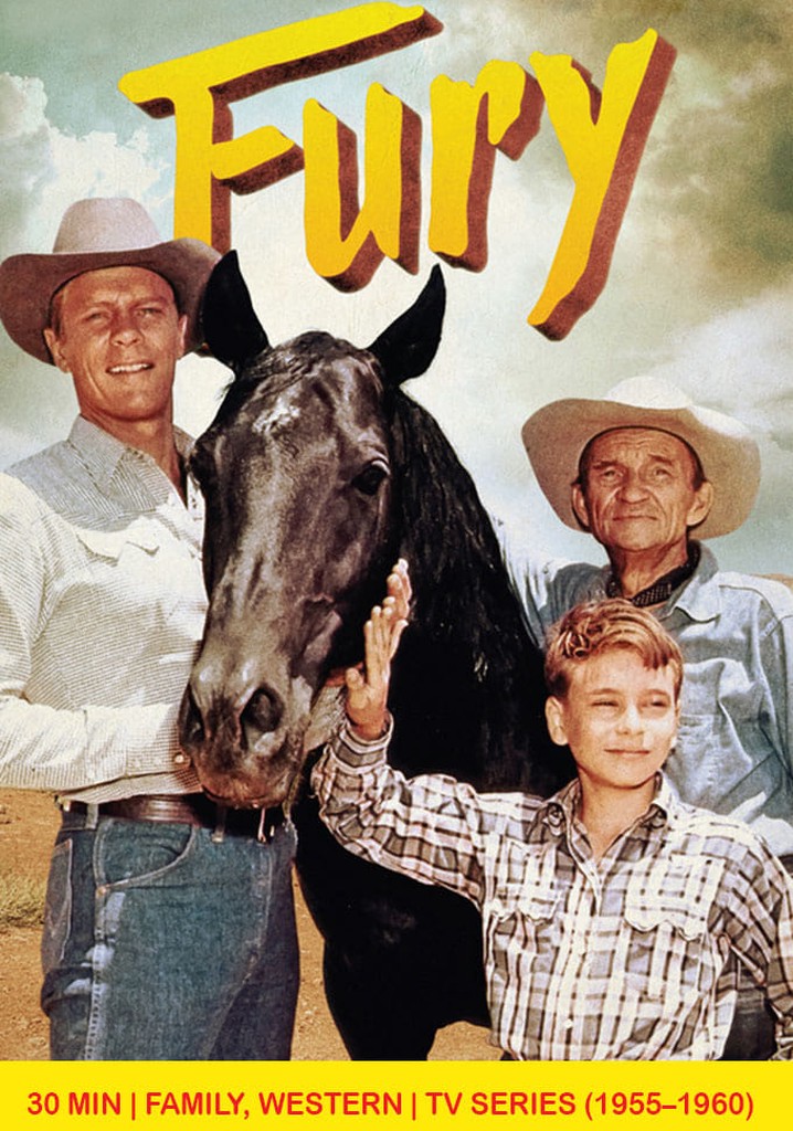Fury poster