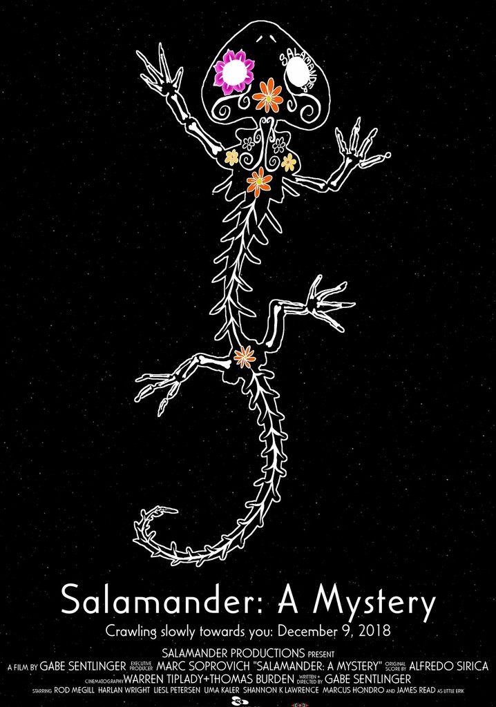 Salamander poster