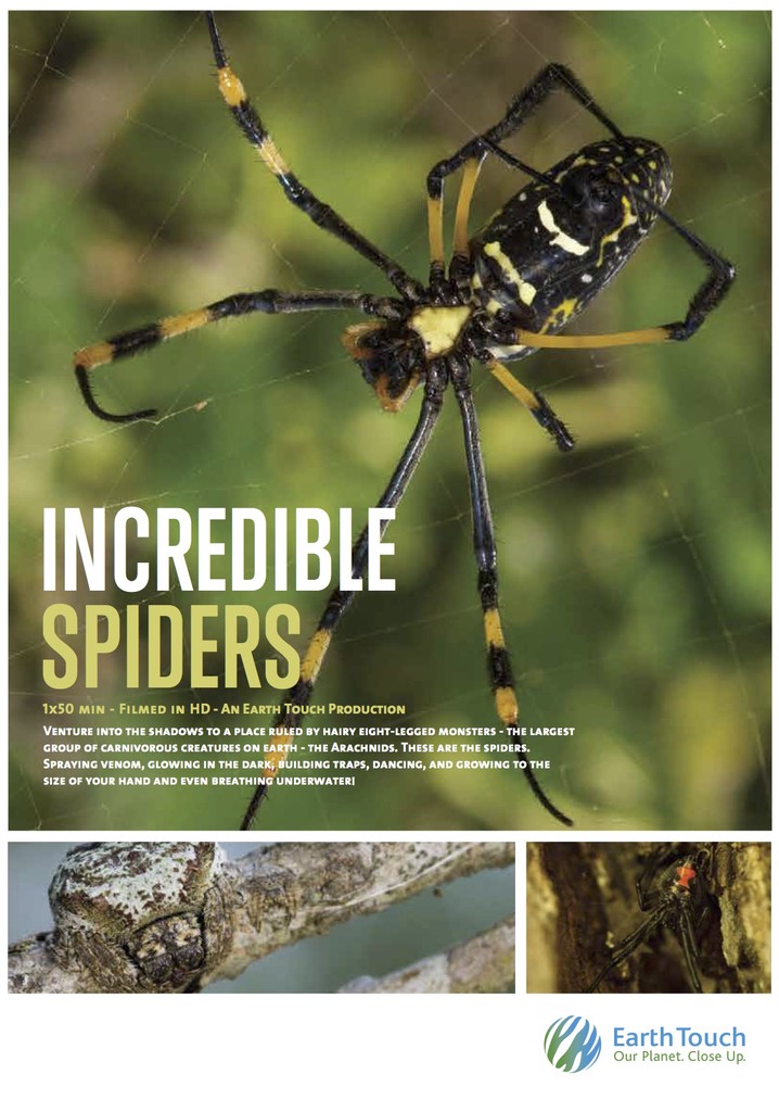 Incredible Spiders poster