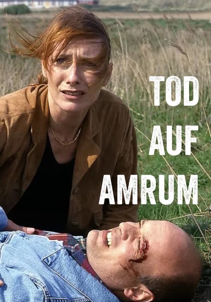 Tod auf Amrum poster