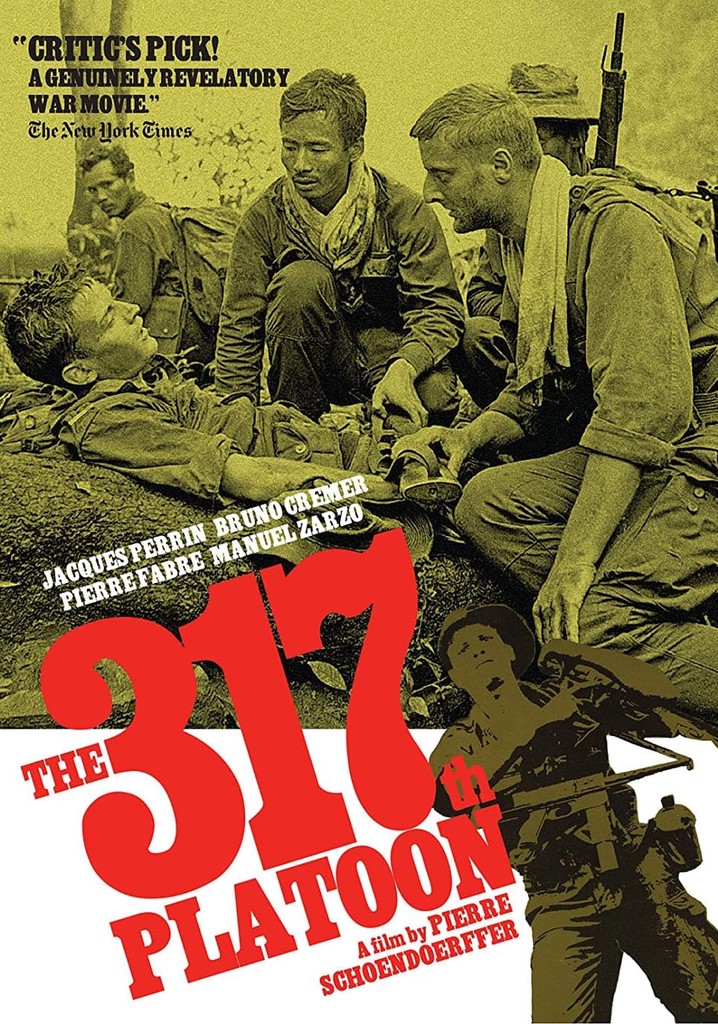 The 317th Platoon poster