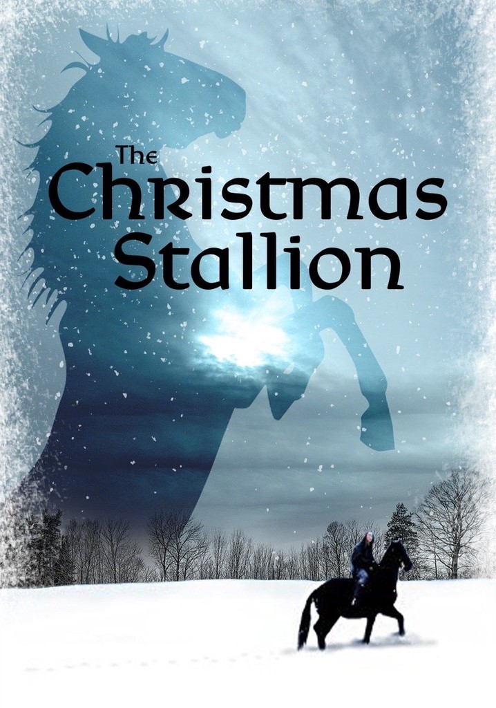 The Winter Stallion poster
