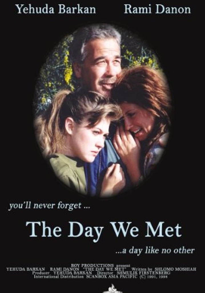 The Day We Met poster