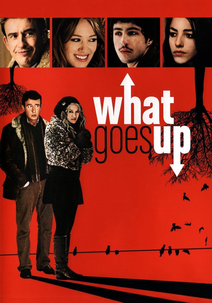 What Goes Up poster