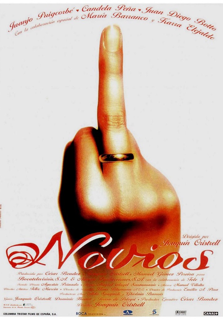 Novios poster