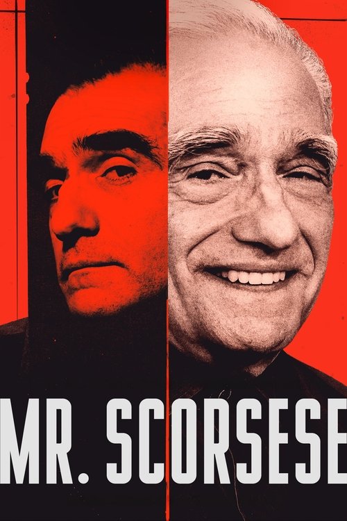 Mr. Scorsese poster