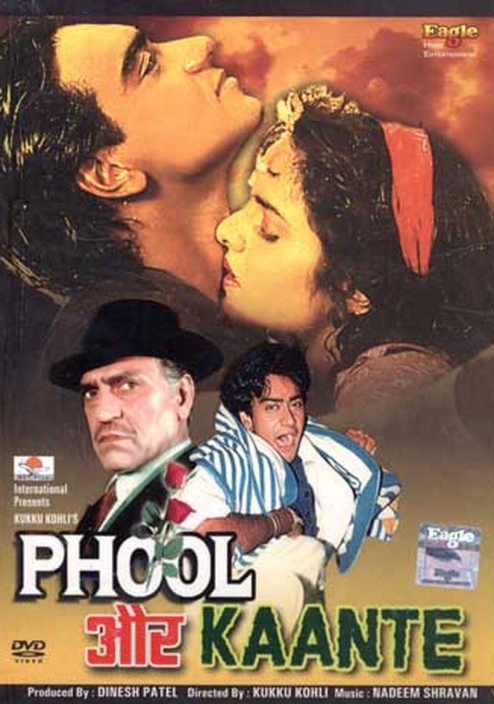 Phool Aur Kaante poster