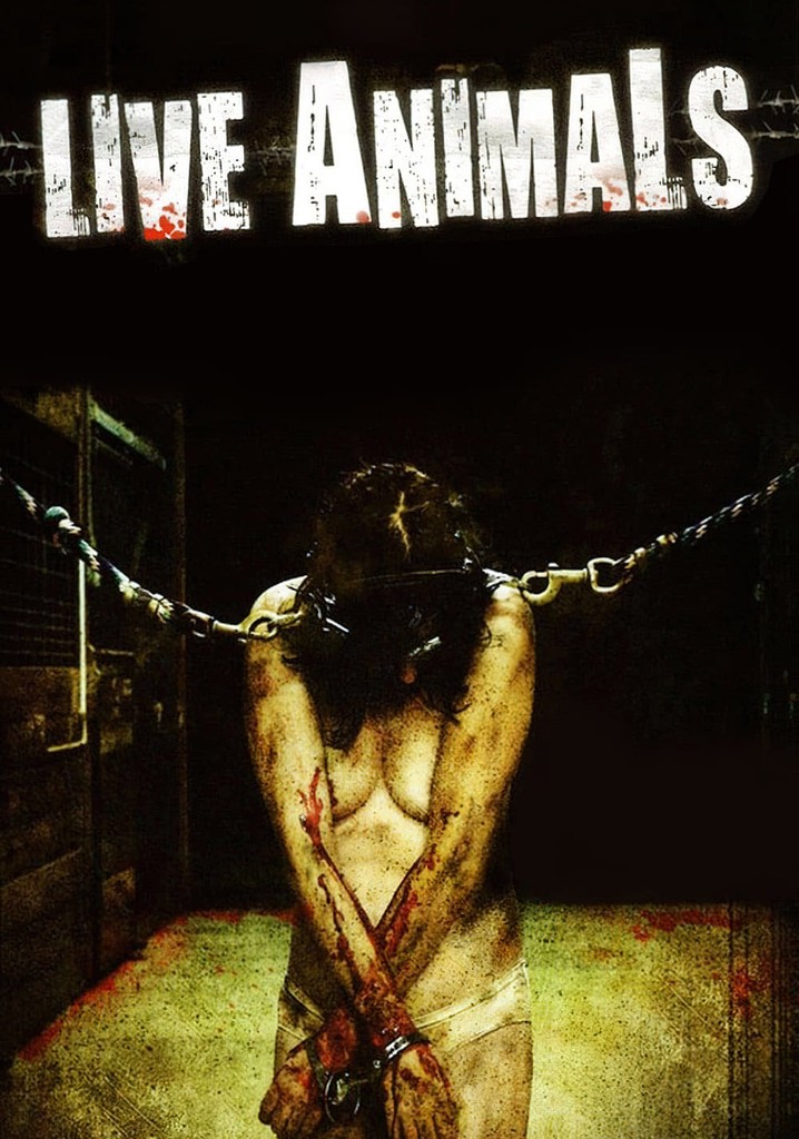 Live Animals poster