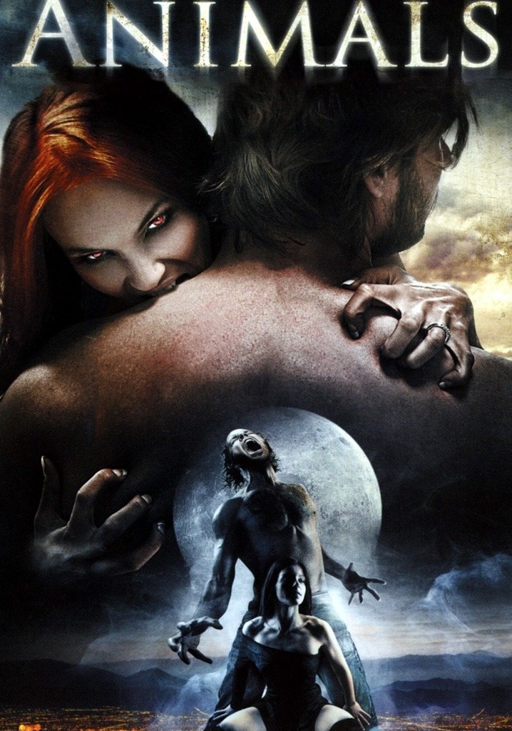 Animals poster