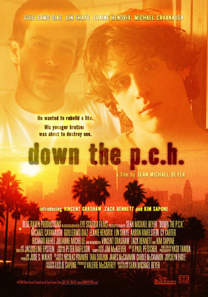 Down the P.C.H. poster