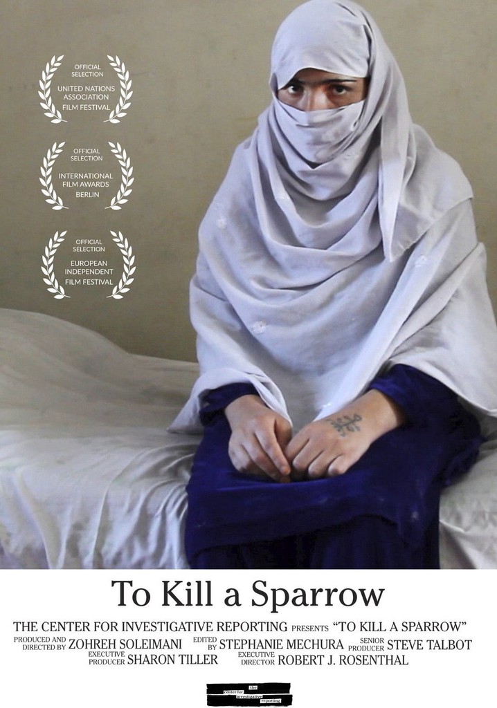 To Kill a Sparrow poster