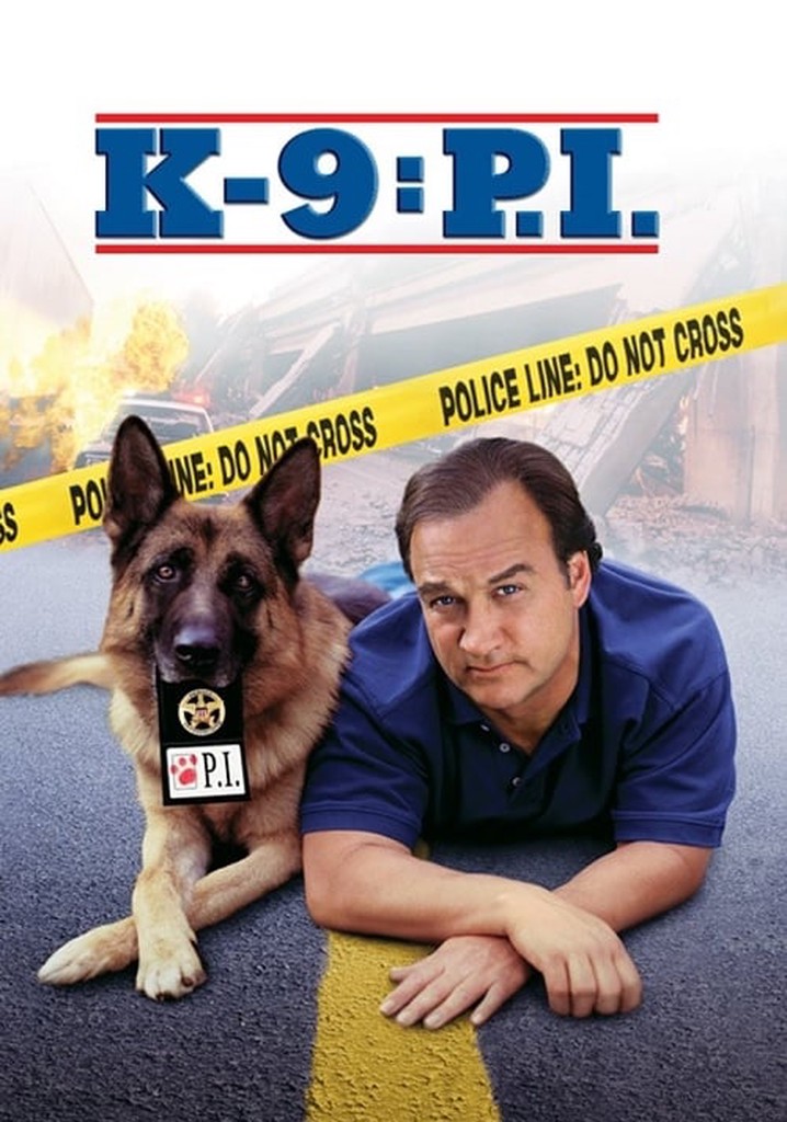 K-9: P.I. poster