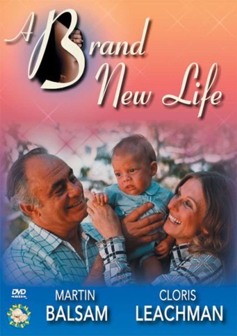 A Brand New Life poster
