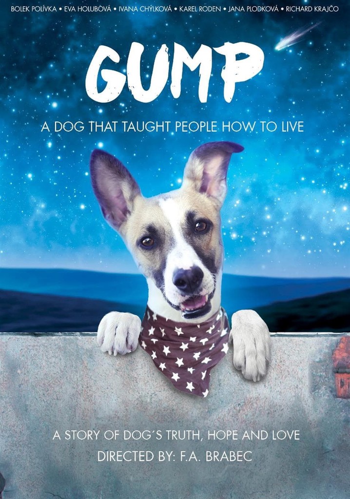 Gump – pes, který naučil lidi žít poster