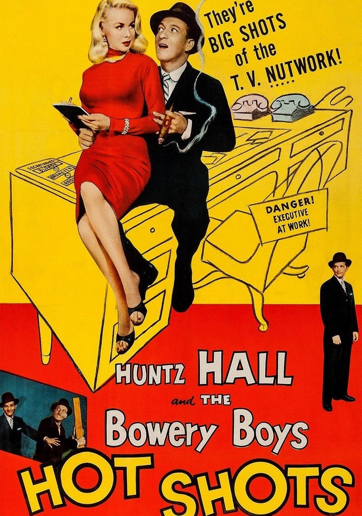 Hot Shots poster