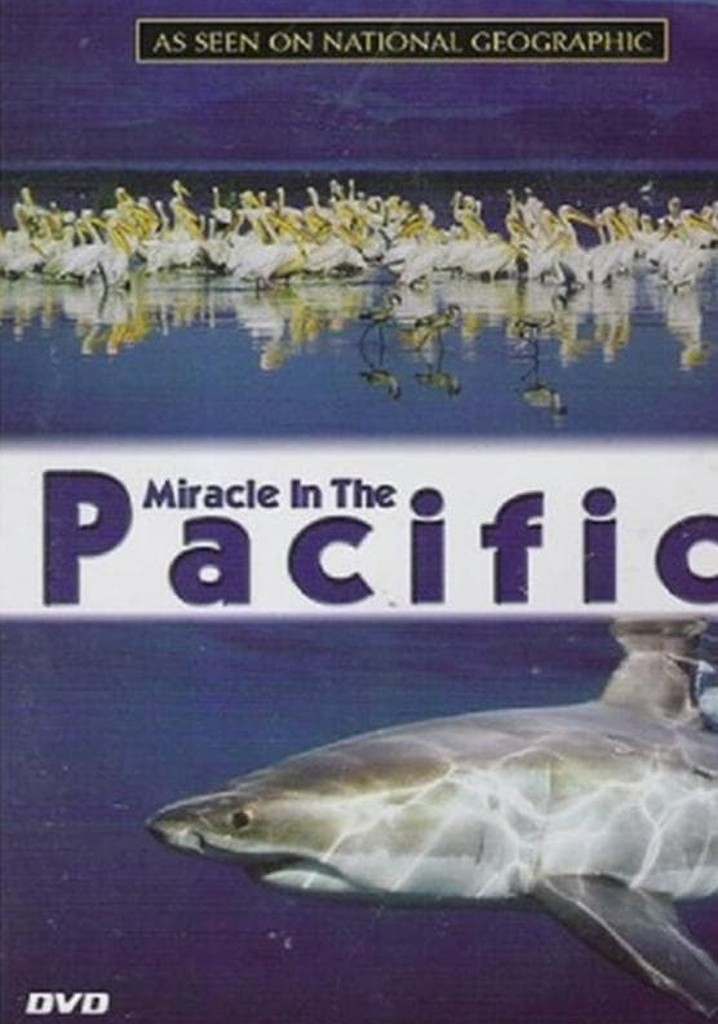 Miracle in the Pacific poster