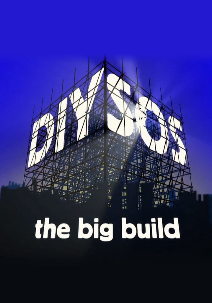 DIY SOS poster