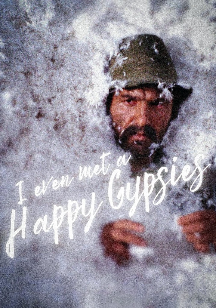 I Even Met Happy Gypsies poster