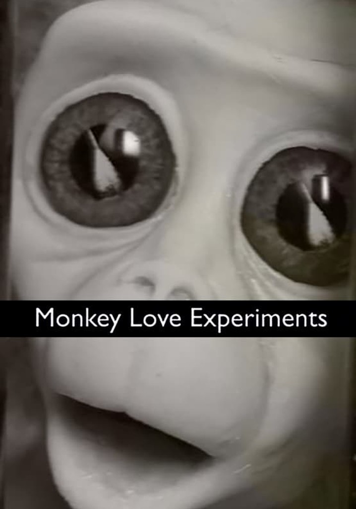 Monkey Love Experiments poster