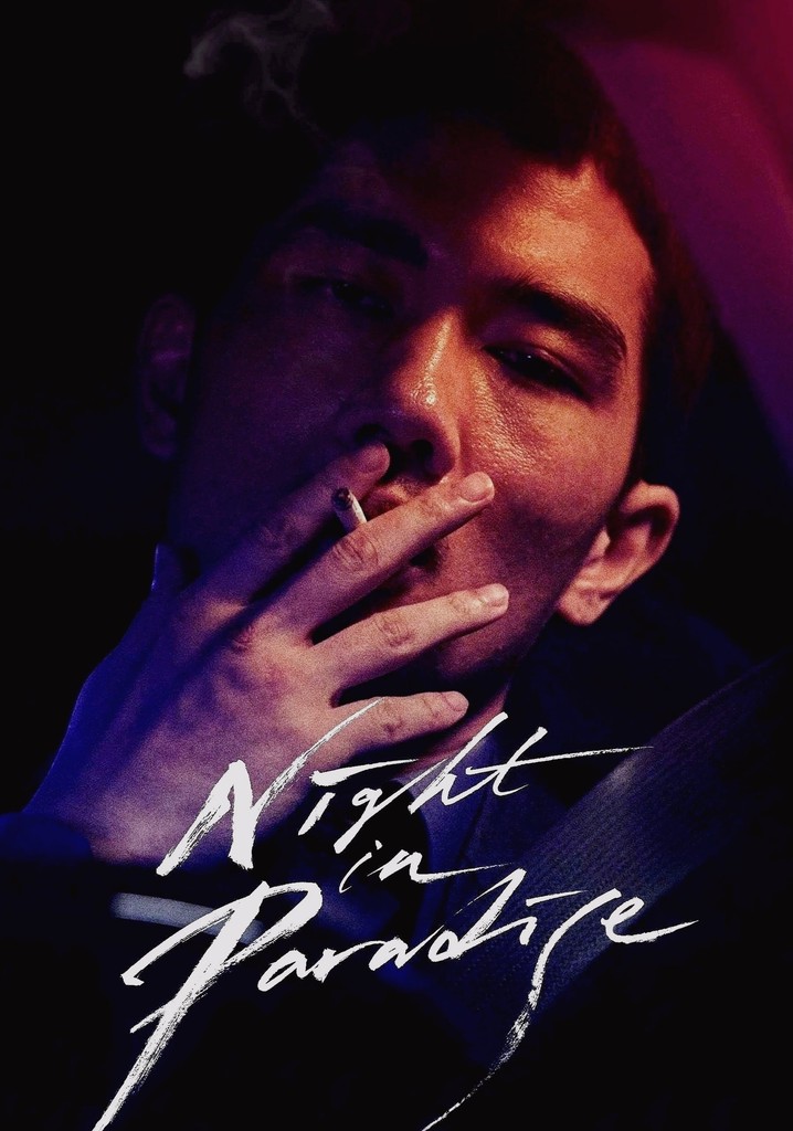 Night in Paradise poster