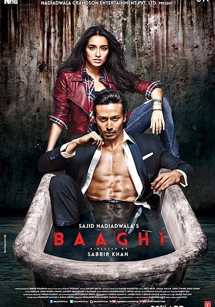 Baaghi poster