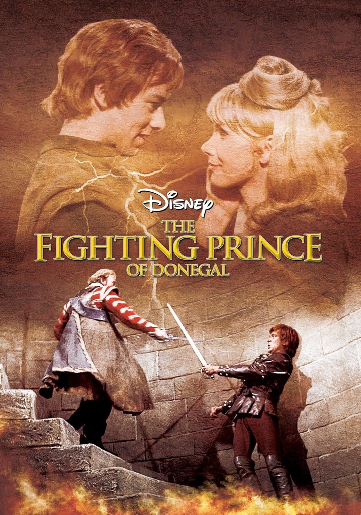 The Fighting Prince of Donegal poster