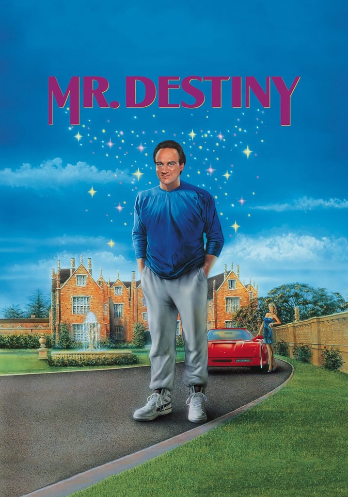 Mr. Destiny poster