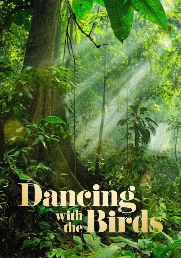 Dancing with the Birds poster