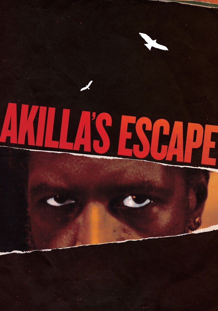 Akilla's Escape poster