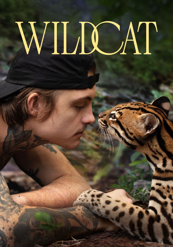 Wildcat poster