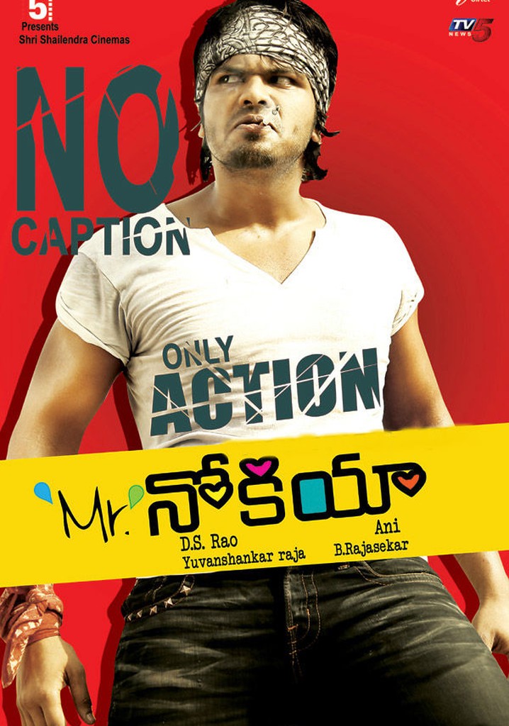 Mr. Nookayya poster