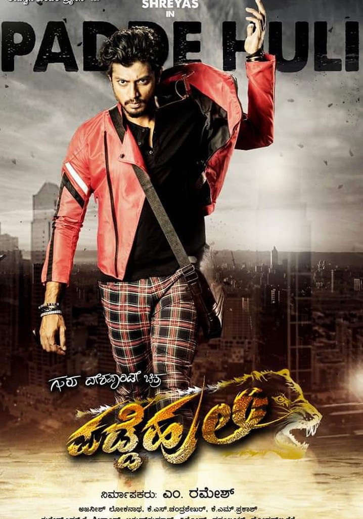 Padde Huli poster