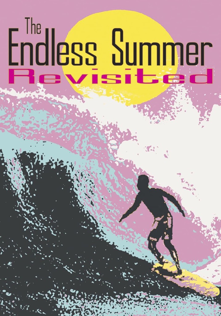 The Endless Summer Revisited poster