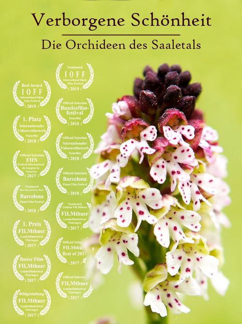 Verborgene Schönheit: Die Orchideen des Saaletals poster