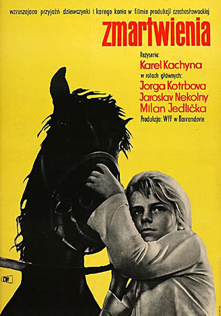 Suffering poster