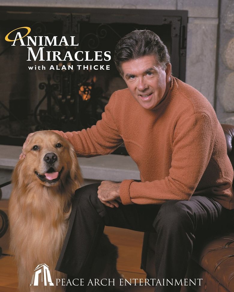 Miracle Pets poster