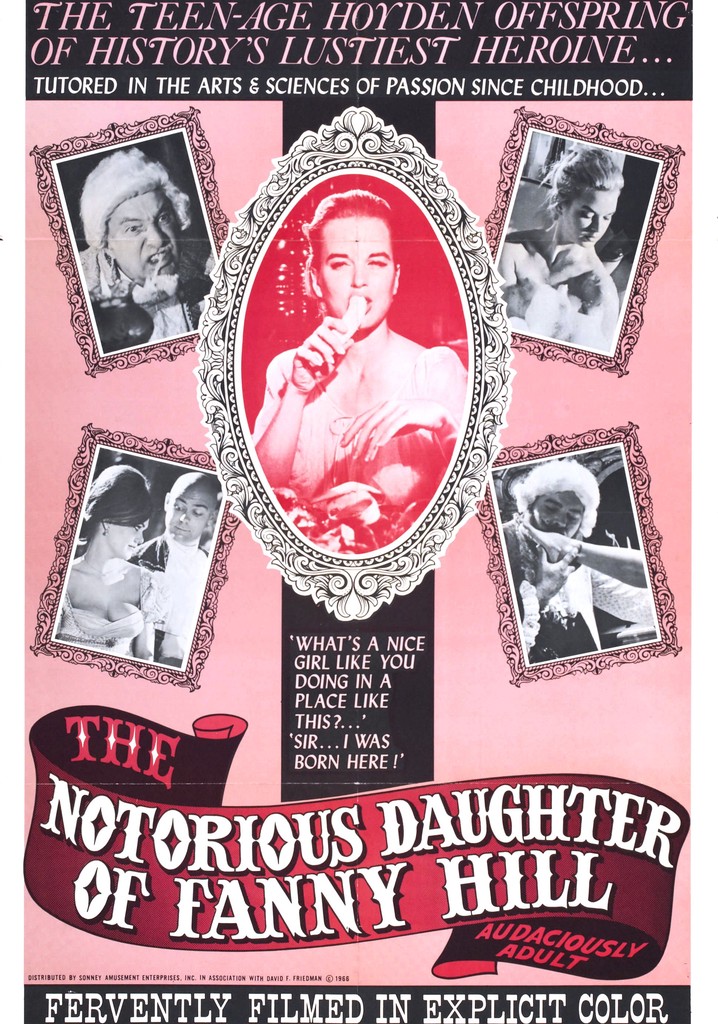 The Notorious Daughter of Fanny Hill poster